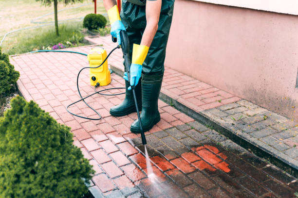Local Pressure Washing Services in Cedaredge, CO