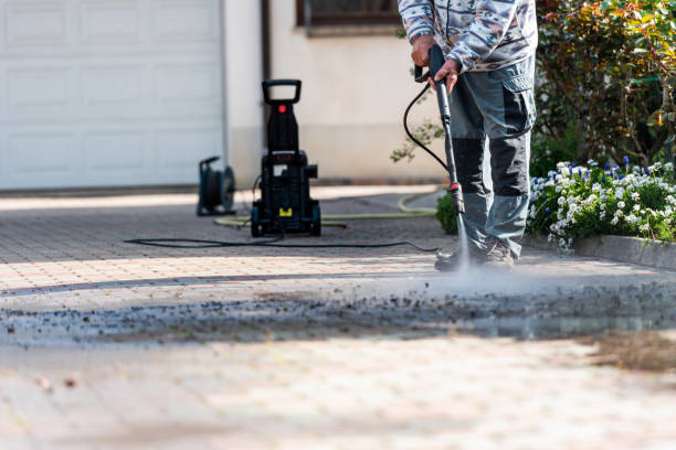 Best Fence Pressure Washing  in Cedaredge, CO