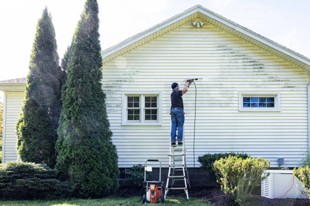 Trusted Cedaredge, CO Pressure Washing Experts
