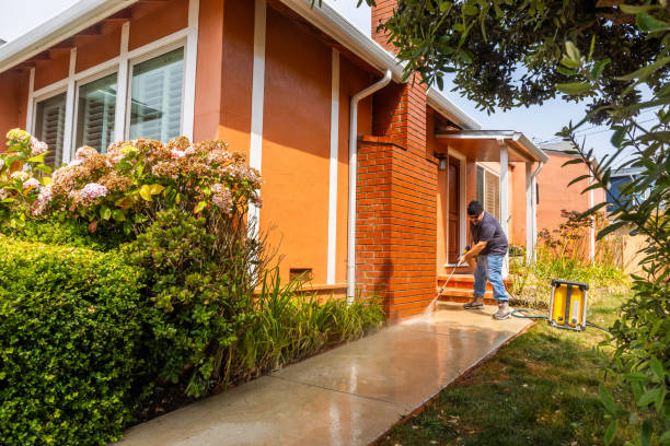Best Pressure Washing Company Near Me  in Cedaredge, CO