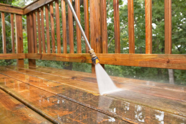 Best Affordable Power Washing  in Cedaredge, CO