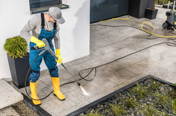 Best Local Pressure Washing Services  in Cedaredge, CO