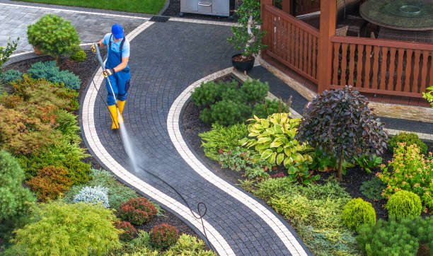 Best Garage Pressure Washing  in Cedaredge, CO