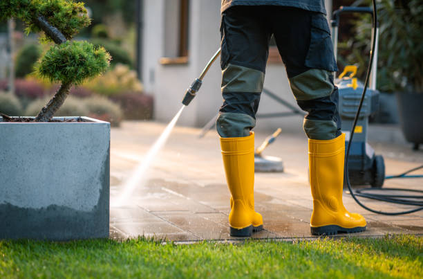 Best Deck Cleaning Services  in Cedaredge, CO